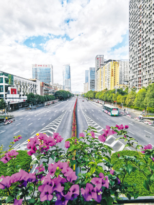 鳥語花香和諧宜居。