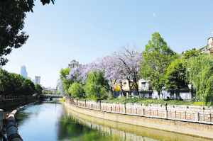 水清岸綠風(fēng)景優(yōu)美。