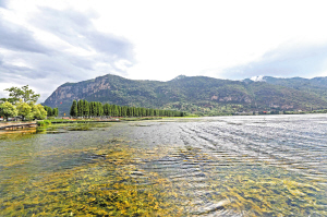 滇池水日漸清澈。記者李海曦?cái)z