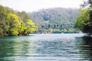 森林康養(yǎng)產(chǎn)業(yè)、休閑游蓬勃發(fā)展。