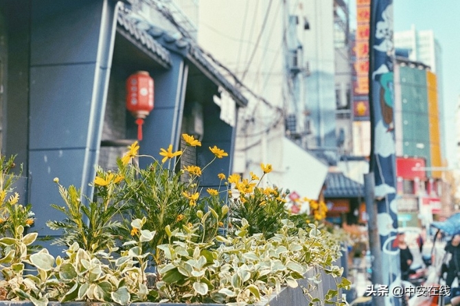 合肥淮河路步行街再添網(wǎng)紅打卡地 來撮造山巷感受國潮范兒