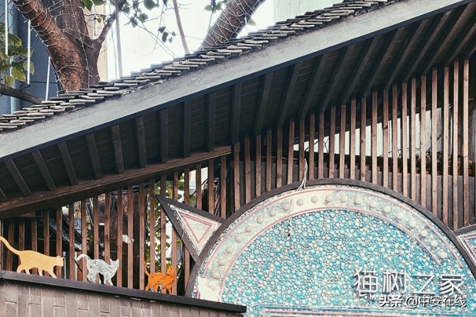 合肥淮河路步行街再添網(wǎng)紅打卡地 來撮造山巷感受國潮范兒