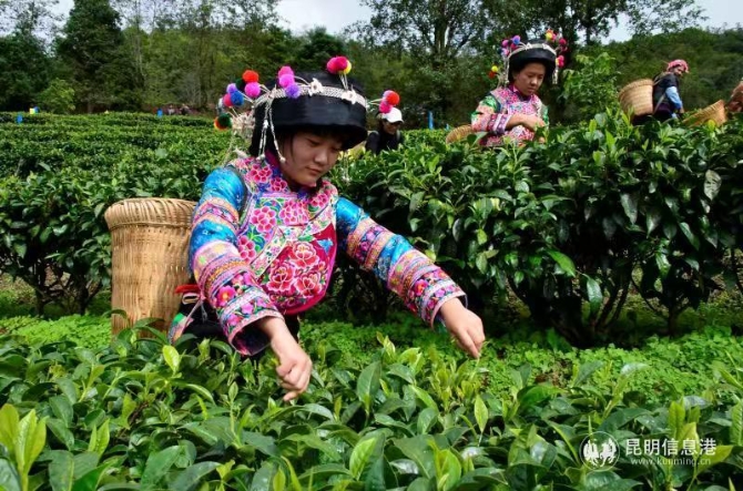 49196bef0dc97d5cfc406158bb5a5c2 49196bef0dc97d5cfc406158bb5a5c2