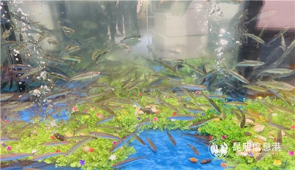 QQ圖片20201126211546 QQ圖片20201126211546