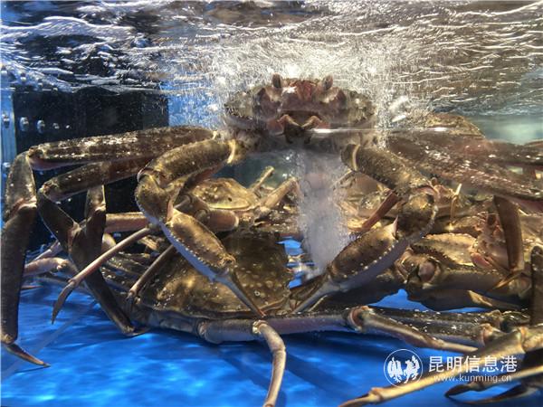 QQ圖片20201126211550 QQ圖片20201126211550