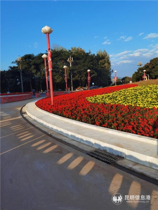 mmexport1606478852439