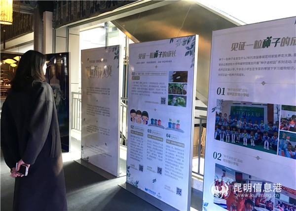 首屆春城昆明家庭養(yǎng)花大賽作品展 首屆春城昆明家庭養(yǎng)花大賽作品展