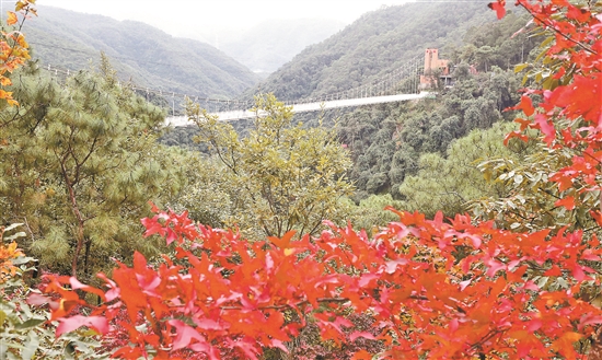 2020112908_res11_attpic_brief