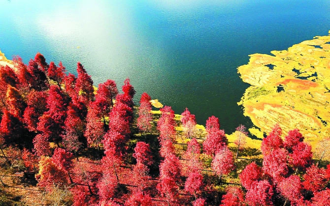 微信圖片_20201129194512