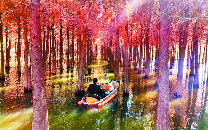 微信圖片_20201129194500