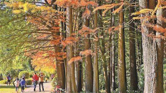 2020113002_res03_attpic_brief 2020113002_res03_attpic_brief