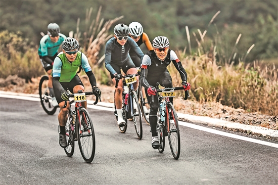 2020113004_res07_attpic_brief 2020113004_res07_attpic_brief