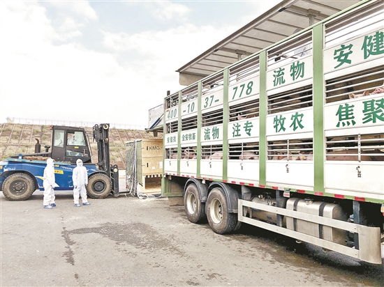 2020113006_res03_attpic_brief