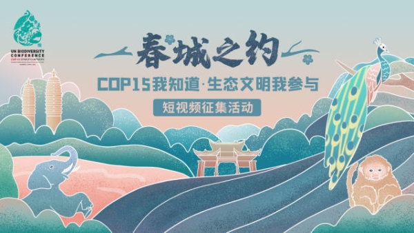 1f6c97e502ba4a7e81da11d9218f2cc3 1f6c97e502ba4a7e81da11d9218f2cc3