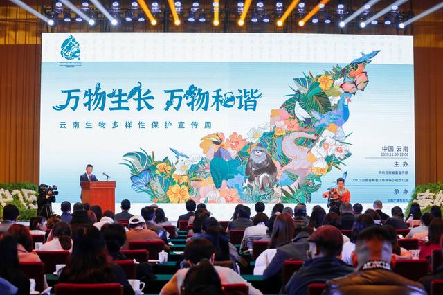 迎接COP15，云南生物多樣性保護(hù)宣傳周在昆啟動，云南廣播電視臺 供圖