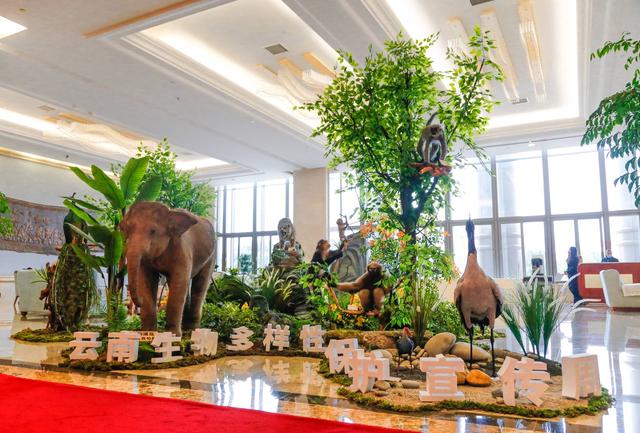 迎接COP15，云南生物多樣性保護(hù)宣傳周在昆啟動，云南廣播電視臺 供圖