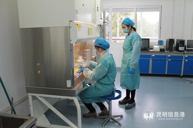 HIV檢驗(yàn)1 HIV檢驗(yàn)1