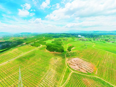 數(shù)據(jù)線聯(lián)通山海 紅蘋(píng)果香飄兩城