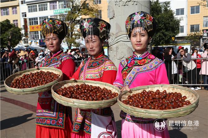 博覽會(huì)期間的堅(jiān)果展示 博覽會(huì)期間的堅(jiān)果展示