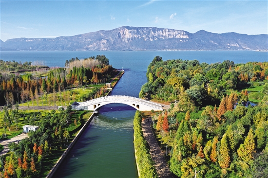 20201202A02_res03_attpic_brief