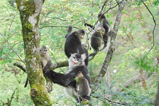 20201202A02_res07_attpic_brief