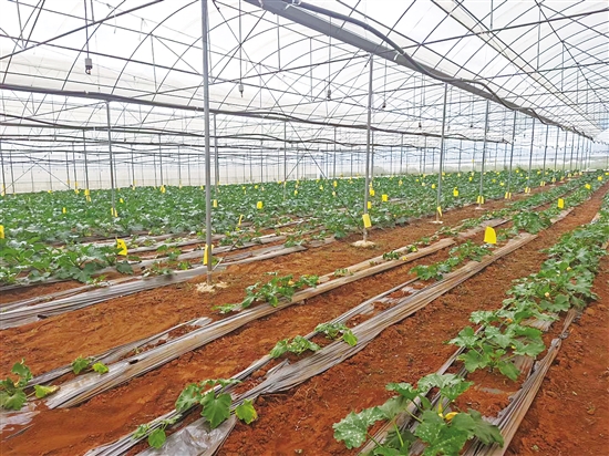 20201202A07_res11_attpic_brief