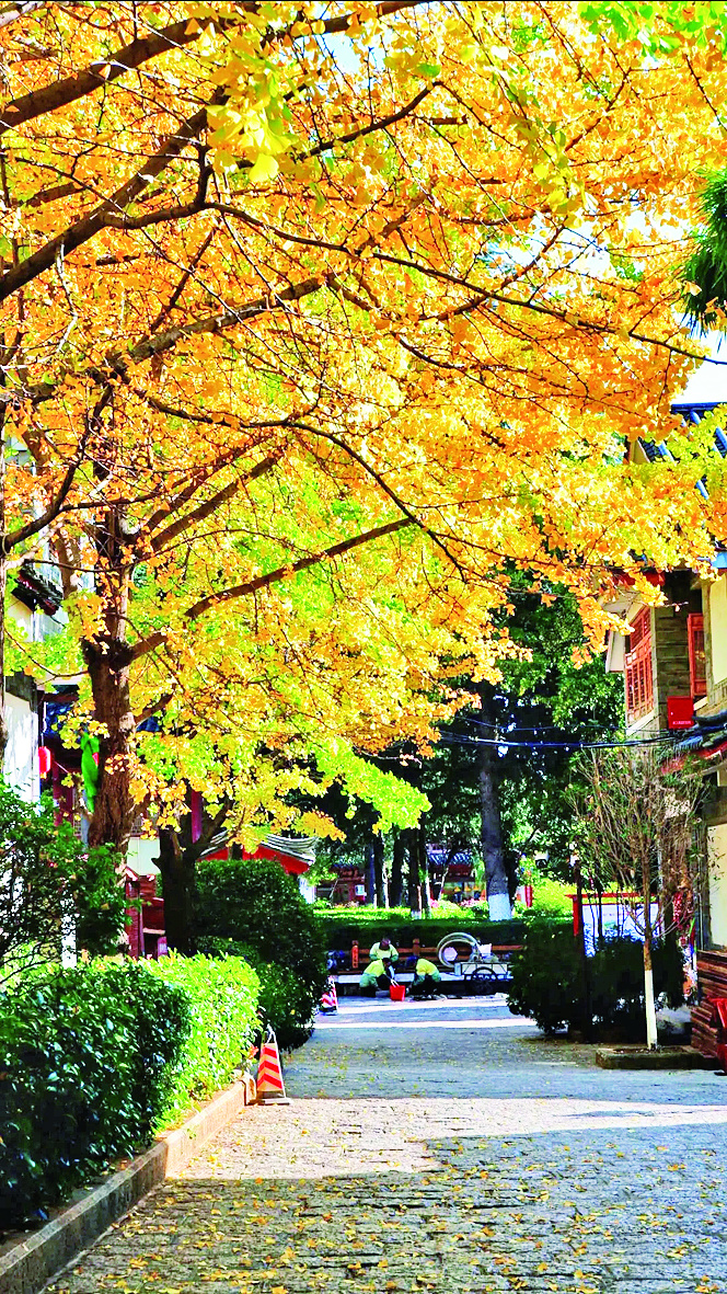 00302888764_6c7bc0d7 00302888764_6c7bc0d7