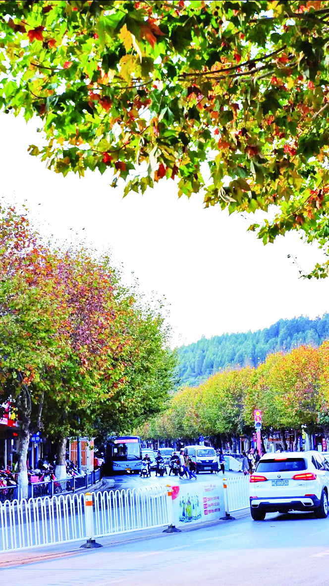 00302888763_fc3284a4 00302888763_fc3284a4