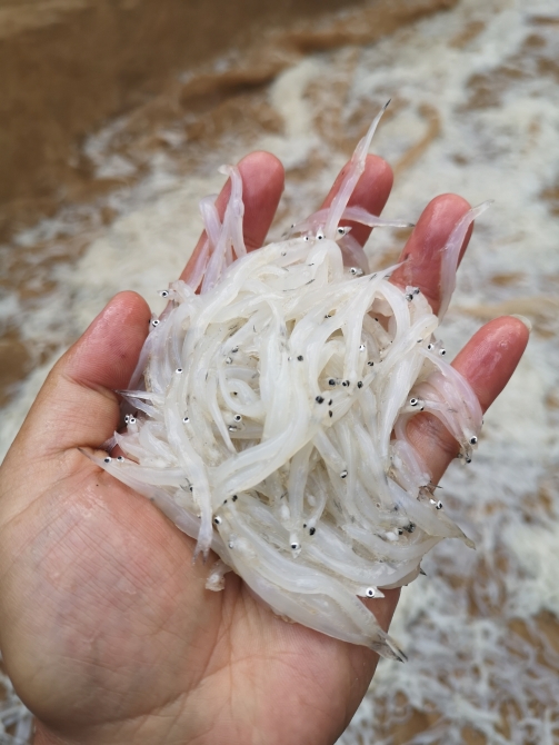 微信圖片_20201202105135