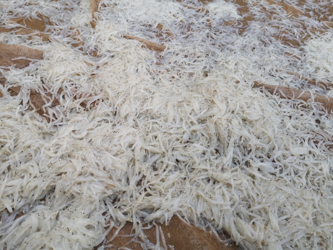 微信圖片_202012021051351