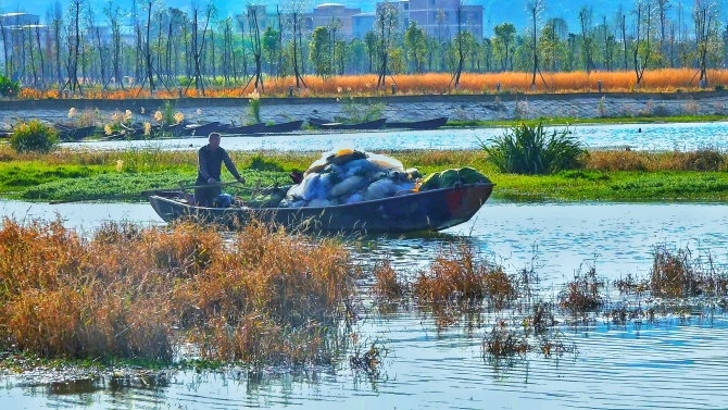 微信圖片_202012021051355