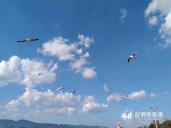 QQ圖片201905041918071 QQ圖片201905041918071