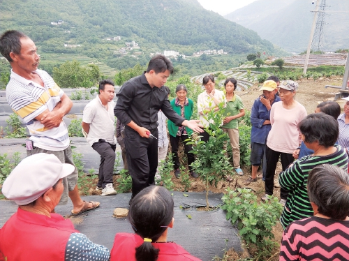 李進學(xué)（中）在怒江的橘櫞山坡上為農(nóng)民講解修枝技巧?！≠Y料圖