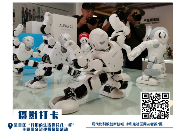 @彩龍社區(qū)網(wǎng)友老蘇攝 @彩龍社區(qū)網(wǎng)友老蘇攝