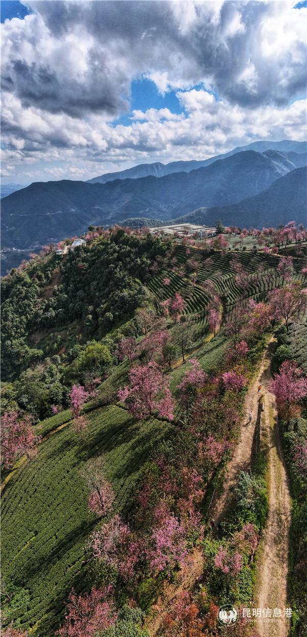 mmexport1606908378898