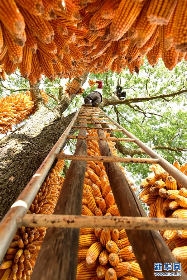 139555481_16068055703691n