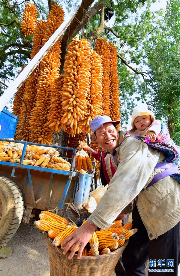 139555481_16068055693251n