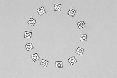 破解大月氏之謎——中烏聯(lián)合考古的新進(jìn)展