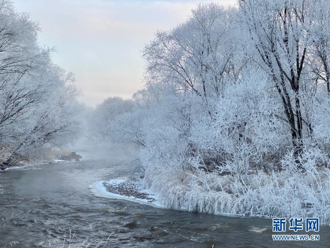 黑龍江省黑河市遜克縣的霧凇景觀（11月30日攝）。新華社記者劉赫垚 攝3