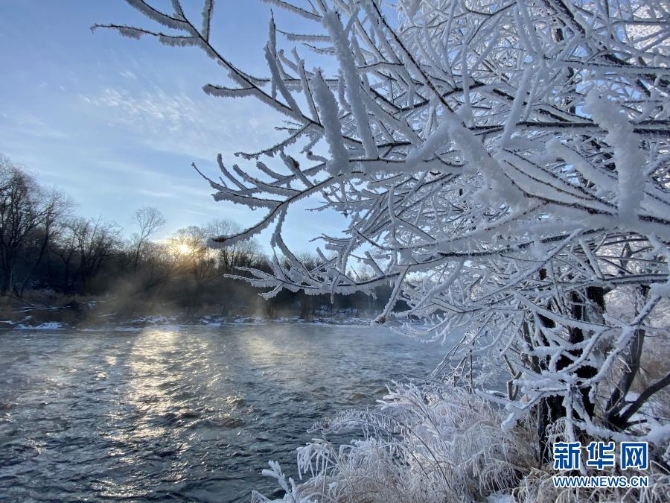 黑龍江省黑河市遜克縣的霧凇景觀（11月30日攝）。新華社記者劉赫垚 攝5