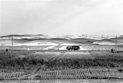 2017年9月5日，內(nèi)蒙古烏蘭布和沙漠“沙漠化土壤”中試科研基地，沙漠中的試驗地綠意盎然。萬難攝