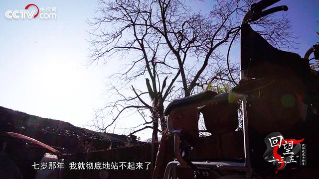 央視點贊云南00后殘疾主播圓夢電競