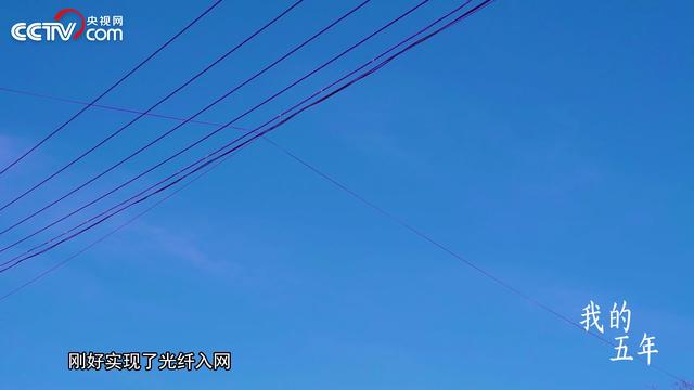 央視點贊云南00后殘疾主播圓夢電競