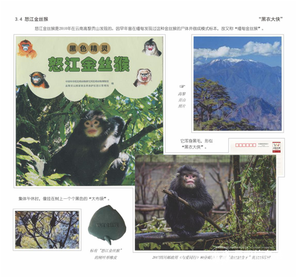 薛康的郵票作品