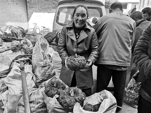 res01_attpic_brief res01_attpic_brief