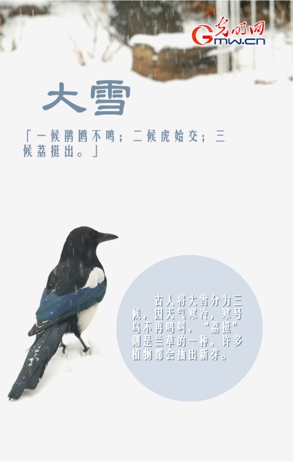 【海報】大雪節(jié)氣的N種打開方式 【海報】大雪節(jié)氣的N種打開方式