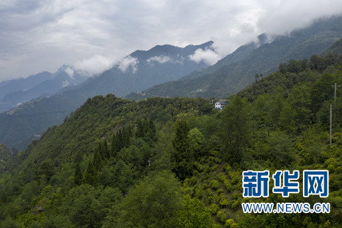 139567728_16072496727711n