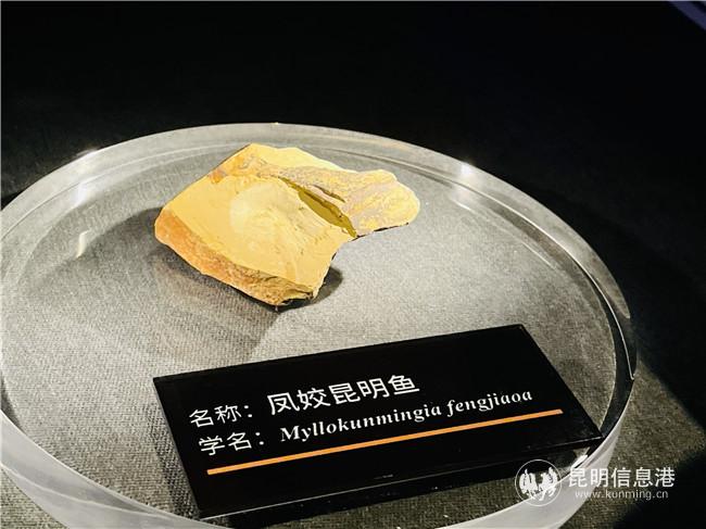 IMG_1276_副本 IMG_1276_副本