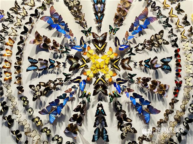 IMG_1303_副本 IMG_1303_副本