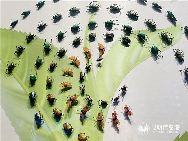 IMG_1315_副本 IMG_1315_副本